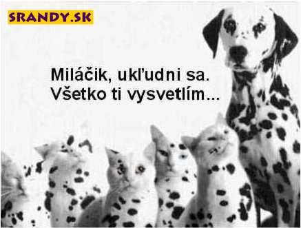 importid97